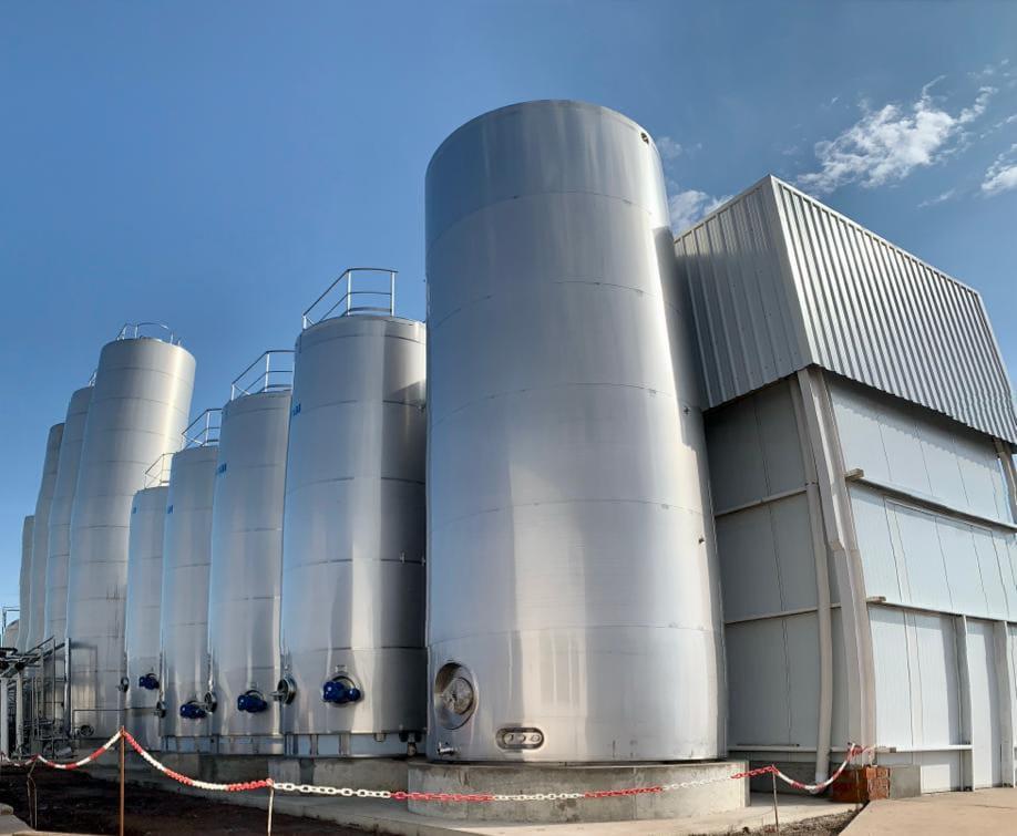 WhatsApp Image 2022-07-27 at 12.03.05 PM