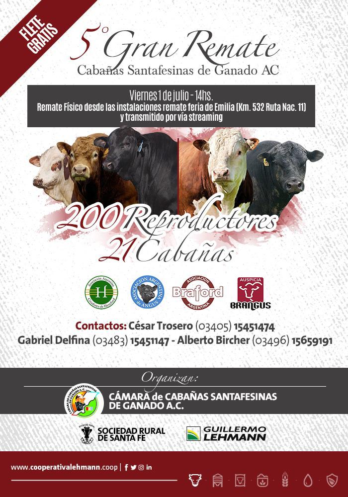 WhatsApp Image 2022-06-29 at 3.50.35 PM (1)