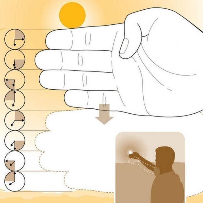 1526403937_archive_57c9a64c00182