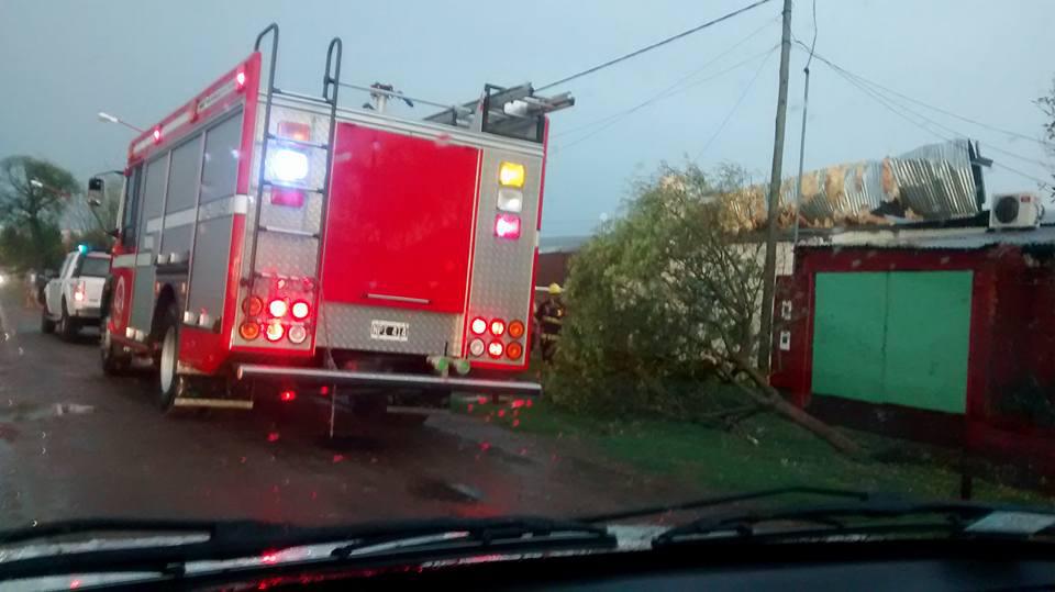 14947852_10208863735845413_6578829796862678356_n