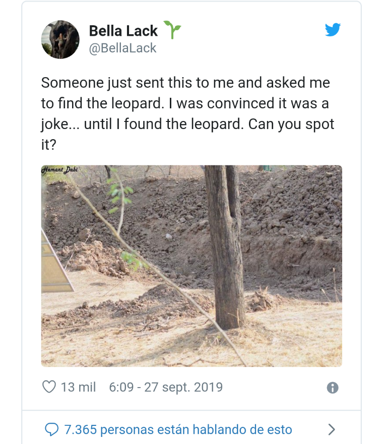 Screenshot_20191001-074716