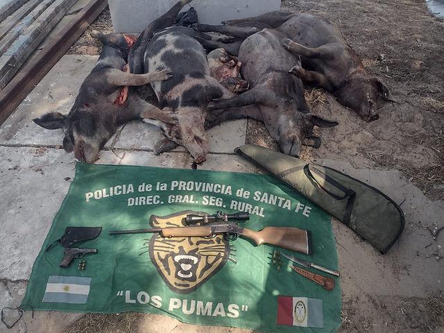 915108_6aa45347ce2746109601bbbd4e5ff5a2~mv2