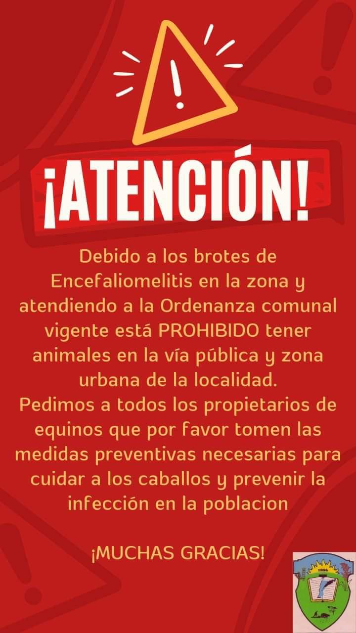 FB_IMG_1701397283875