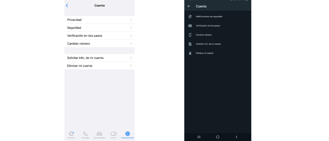 Plantilla-desinformacion-75