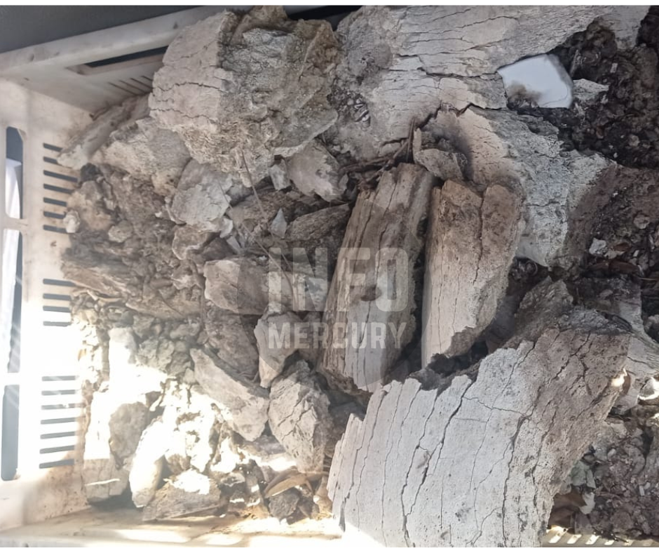 Diseño sin título (5)