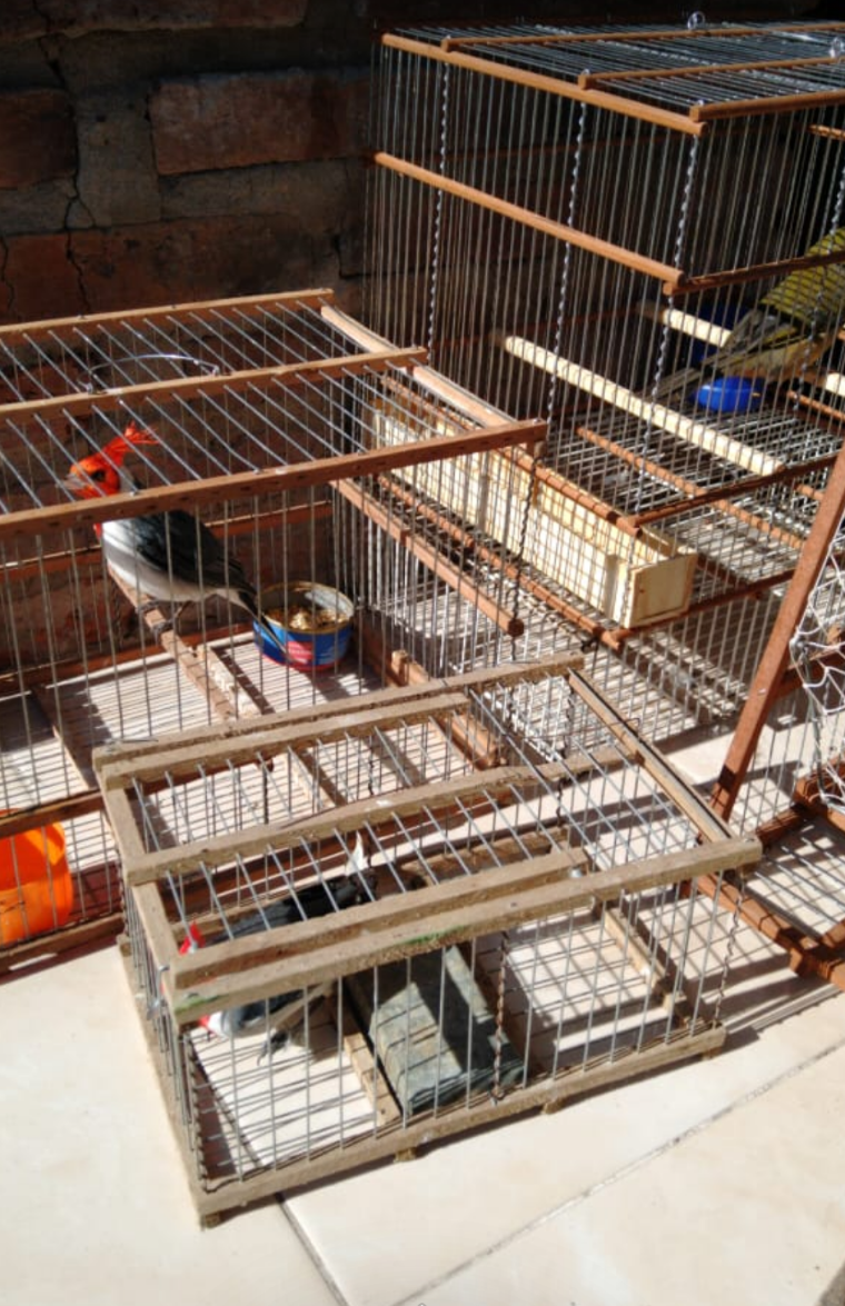 Screenshot_20200709-232011