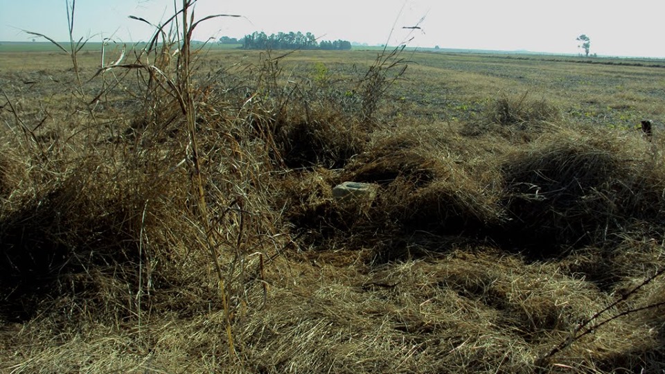 59800217_2276205109294980_5746542684428828672_n