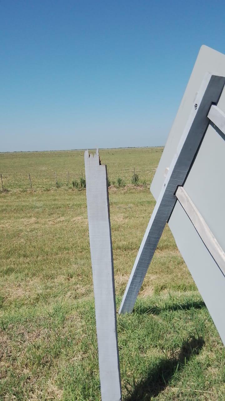 WhatsApp Image 2022-02-18 at 11.19.12 (1)