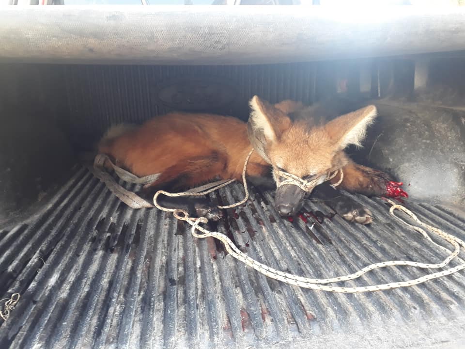 58373539_2163466977070868_1046710459480145920_n