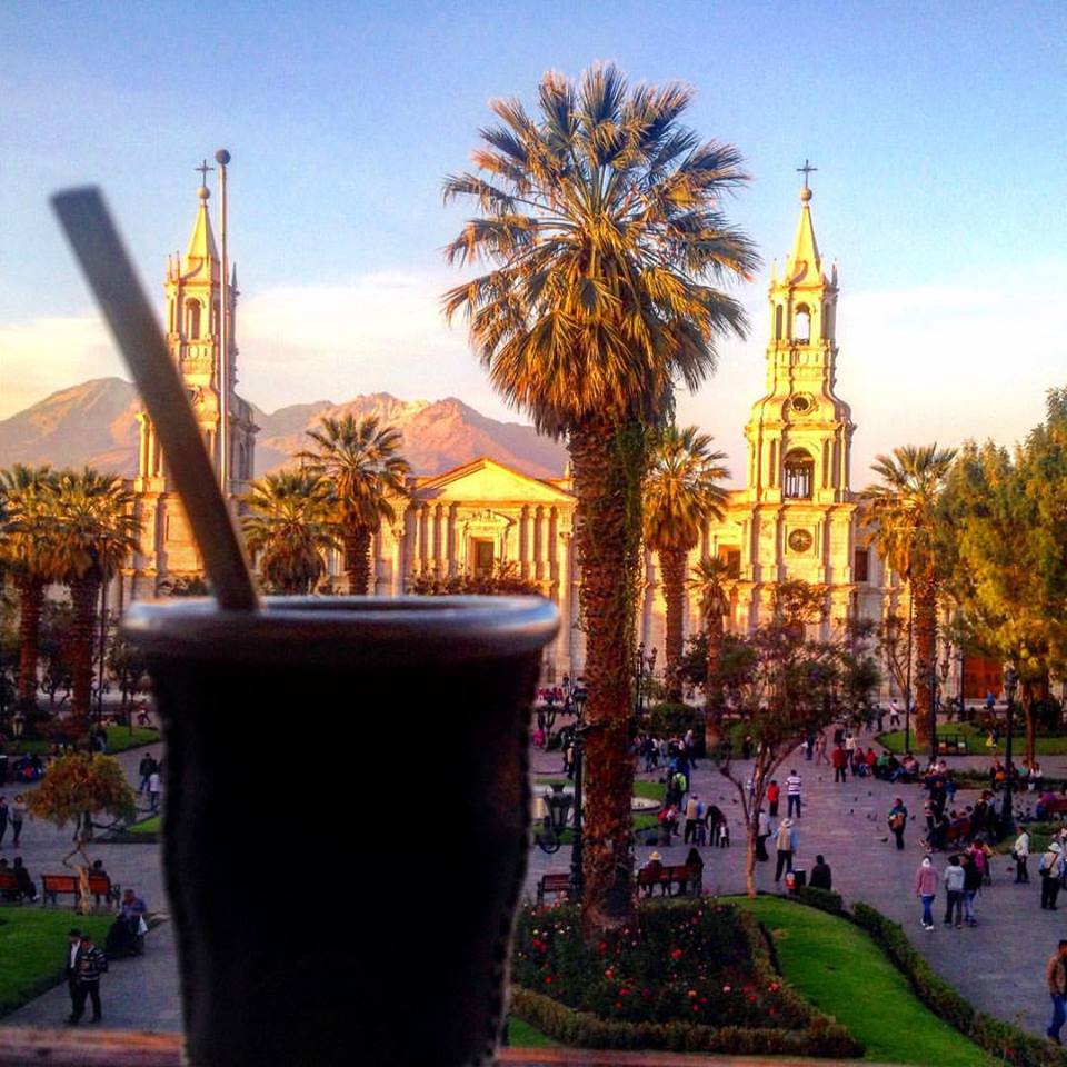 22851810_10213727170229175_8754327931822087277_n