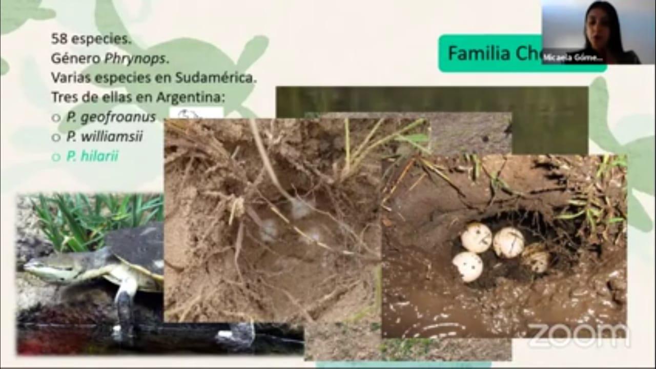 WhatsApp Image 2020-11-04 at 07.36.20