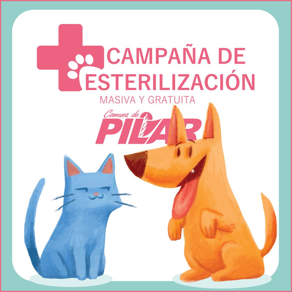 59777022_1077087699168381_7846005763381133312_n