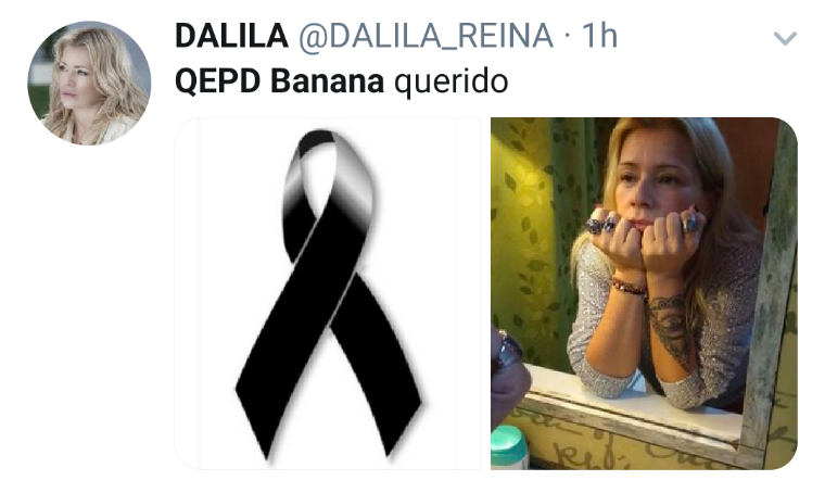 Screenshot_20190518-085231