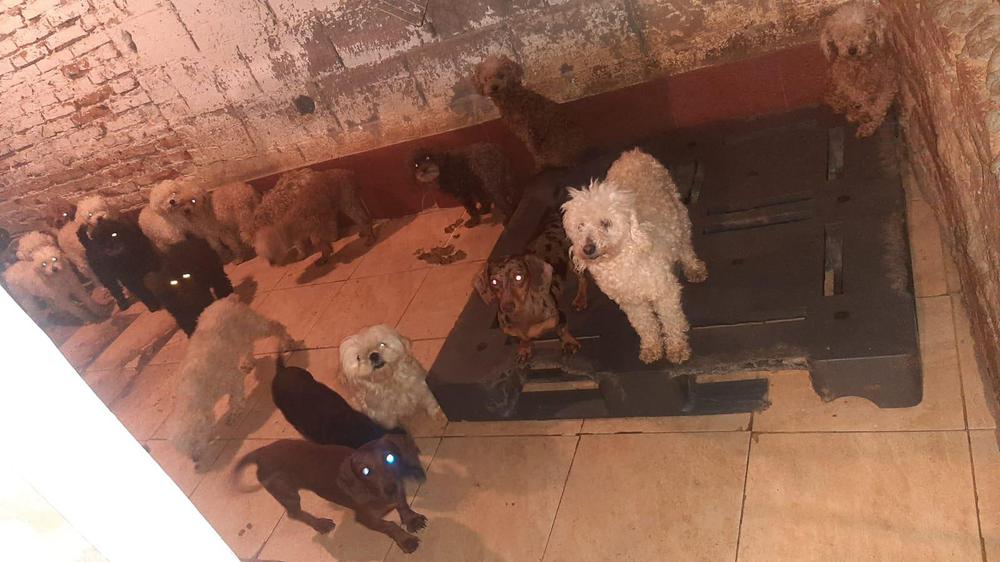 WhatsApp Image 2021-09-16 at 12.18.12