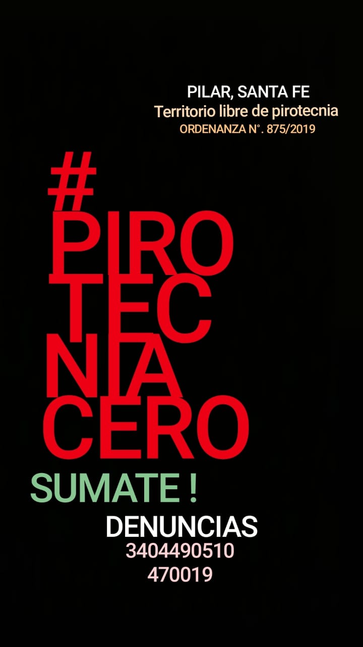 WhatsApp Image 2019-12-21 at 12.51.37