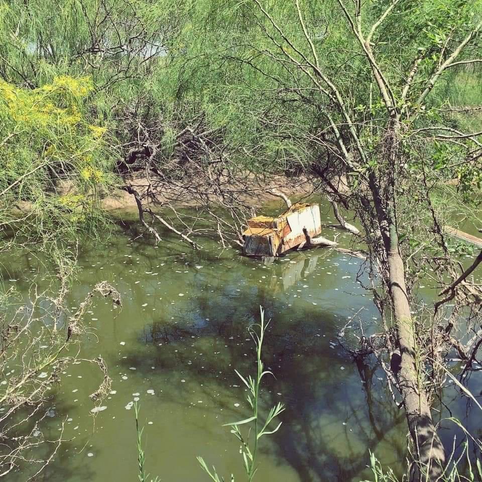 FB_IMG_1643562769252