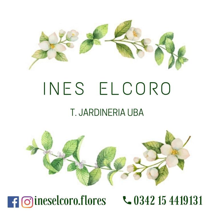 121677216_370181134364930_1738990763765307557_n