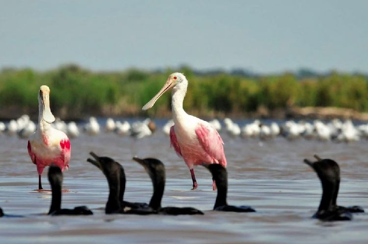 Imagee818641833964e49a09dd9a28e55043a