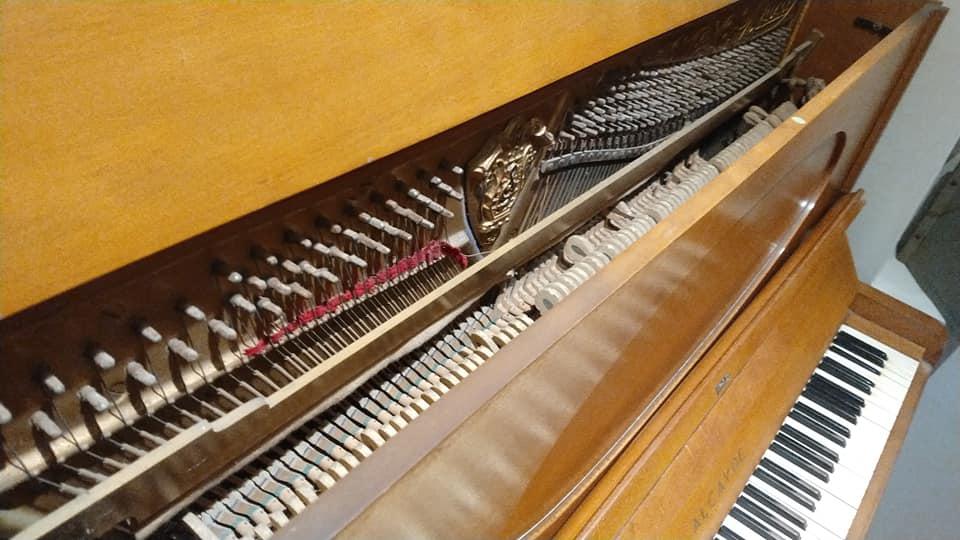 282666428_551420096357823_4760025573552412477_n