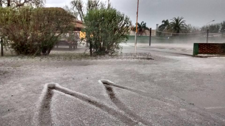 14915593_10208863730325275_5959857393275703518_n