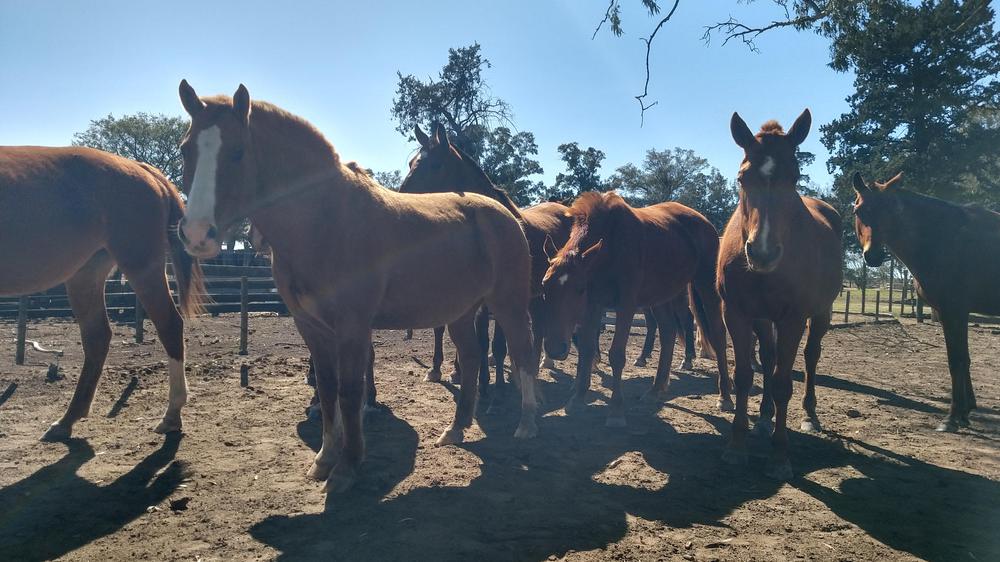 IMG_20220904_112112392_HDR