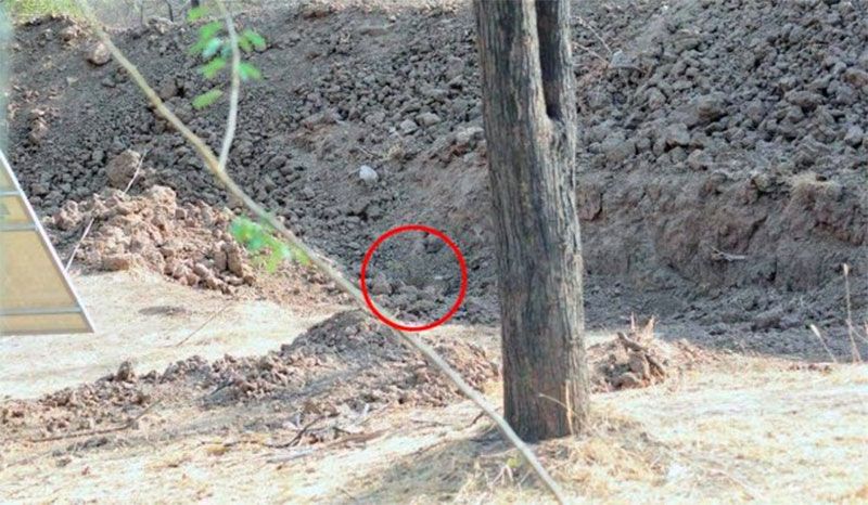 332226_20190930175643