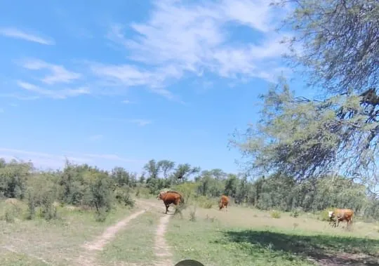 IMG-20241206-WA0174~2