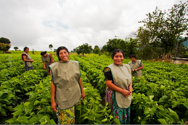 coop_mujeres_4pinos03