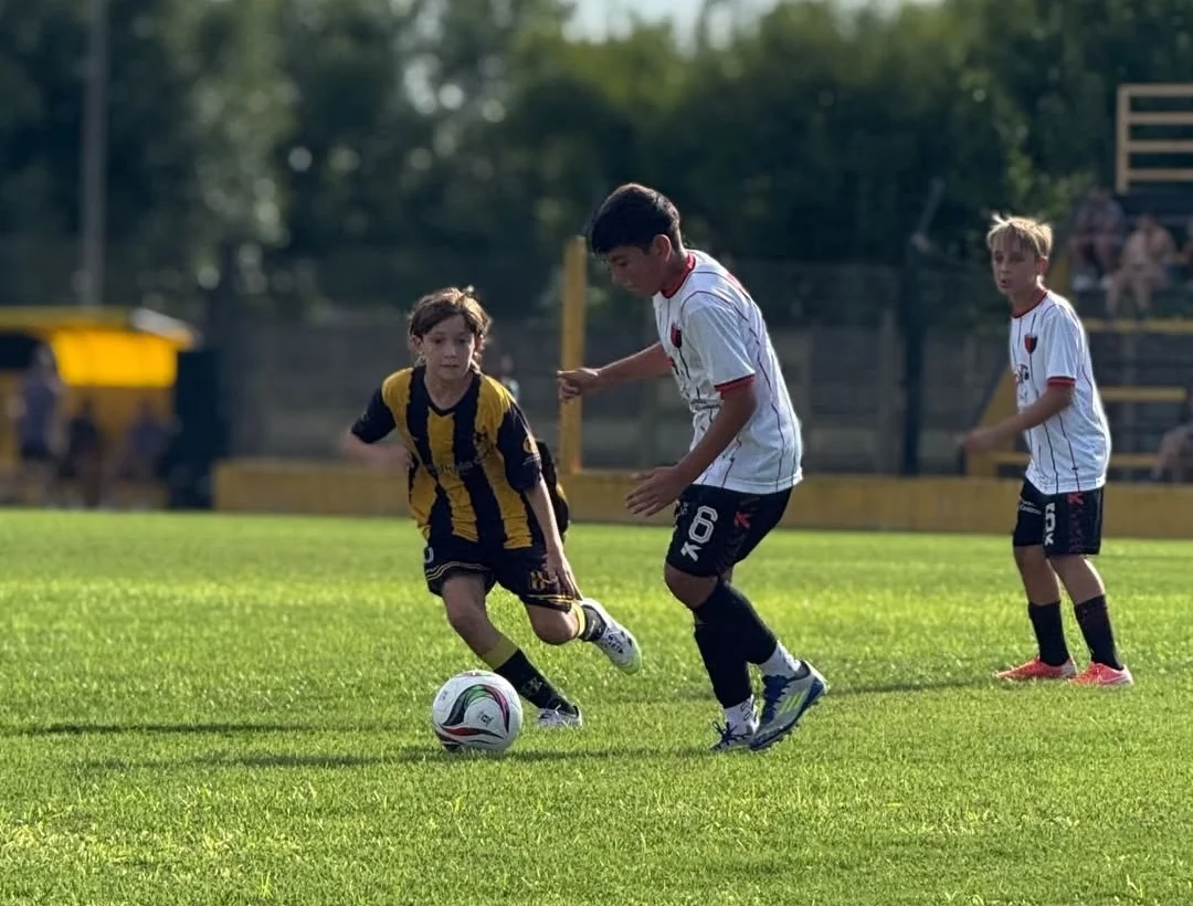 Screenshot_20260301_090209_Instagram