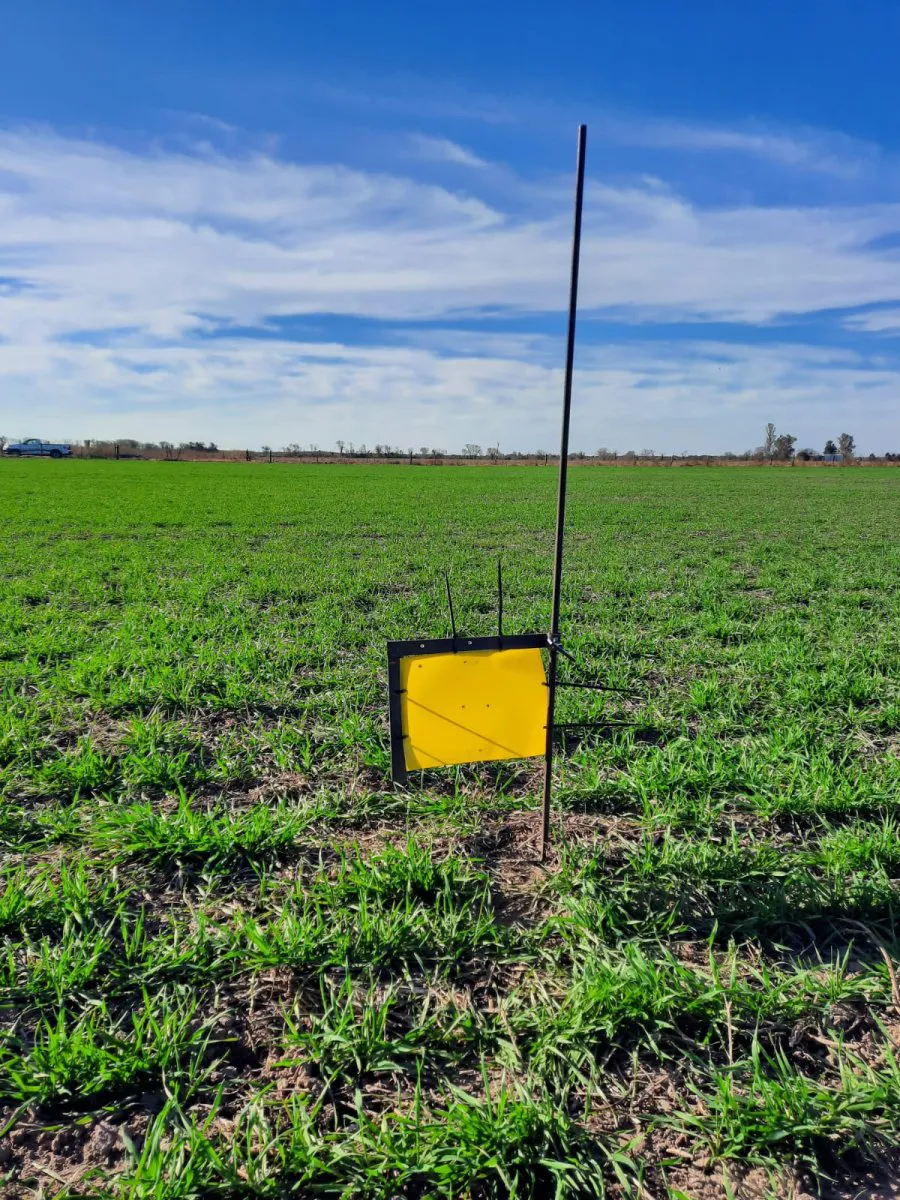 multimedia.normal.acc5d59d59531a21.MmUxMjg4YTRlZTNjODg4OGEyZGU0OTRkMDc5NGZkOWVfbm9ybWFsLndlYnA=