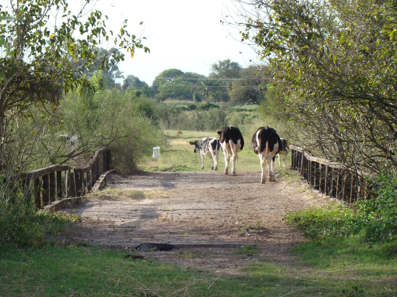 656722964_10237304574372328_7722248335497596293_n