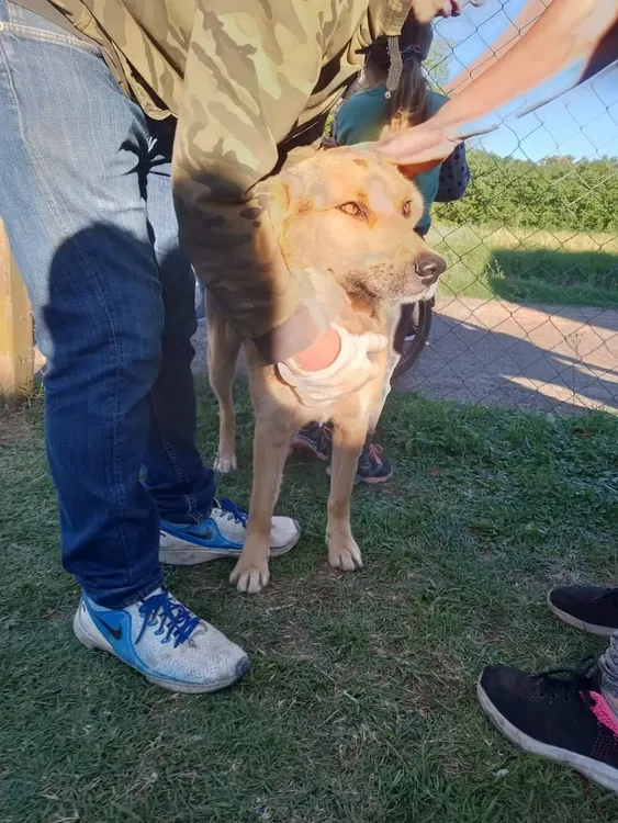 FB_IMG_1729953573688