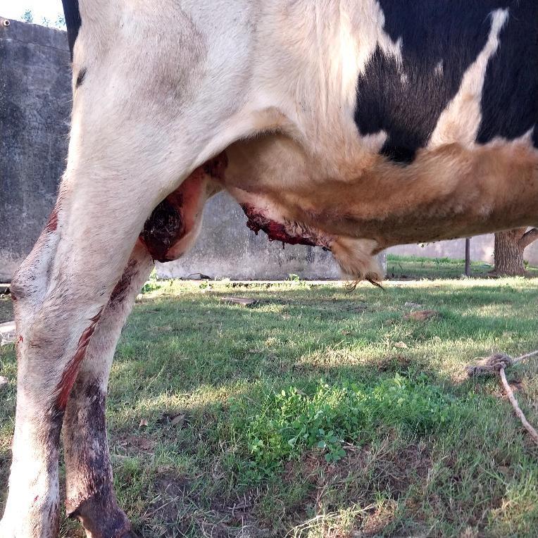 IMG_20240325_143312_301