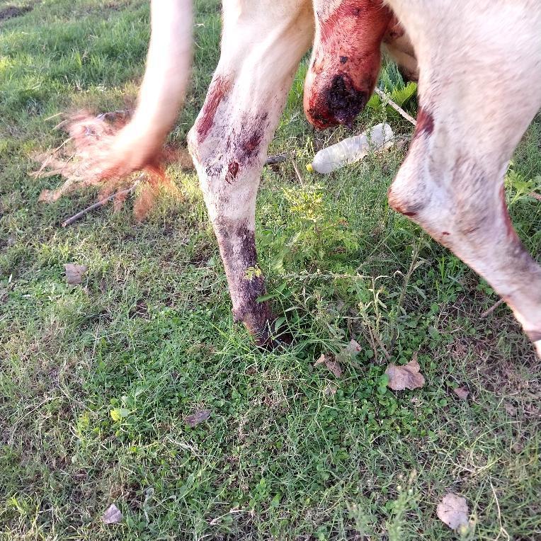 IMG_20240325_143316_830