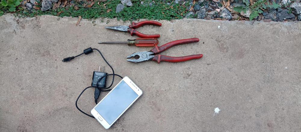 elementos san carlos centro