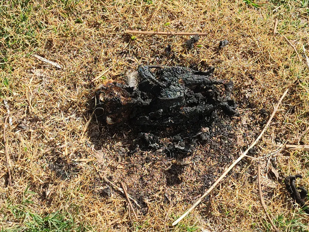 IMG_20241028_095056179