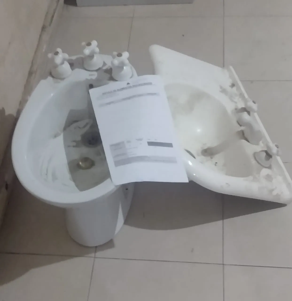 WhatsApp Image 2024-11-01 at 00.52.51