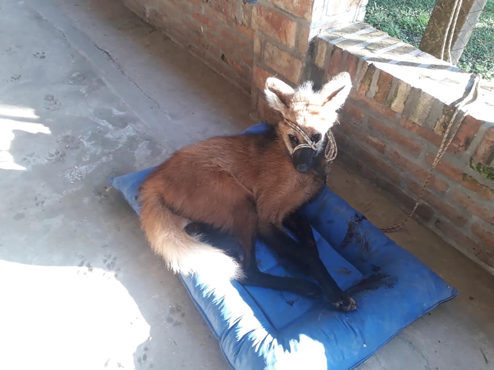 57503553_2163466920404207_857362960765419520_n