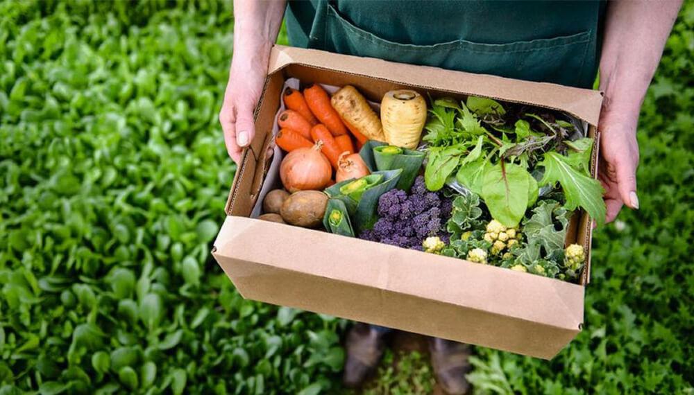 Productos-organicos-y-regionales-infocampo