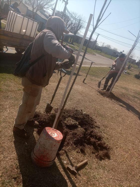 457405118_122167505684137537_6196738812094926350_n