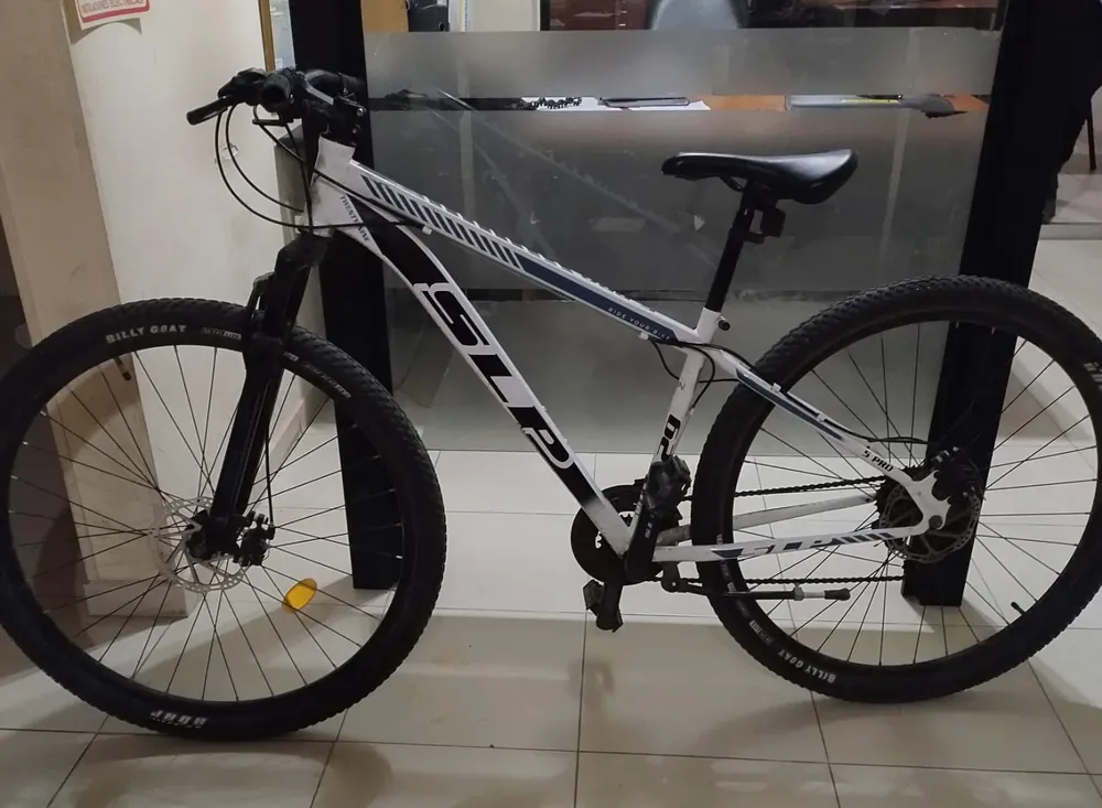 bici SLP blanca