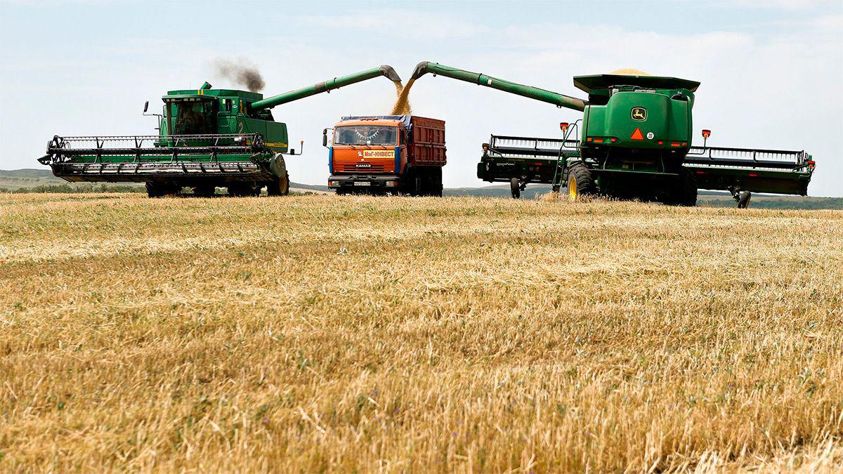 agro-423404-132558