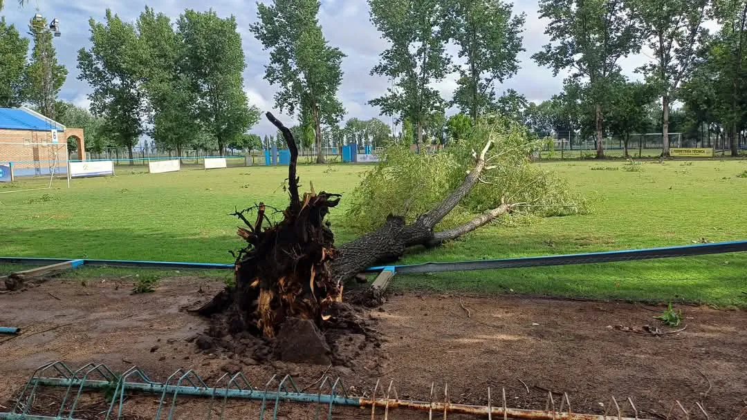 FB_IMG_1733489517684