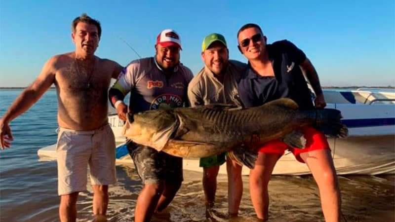 FB_IMG_1606651431241