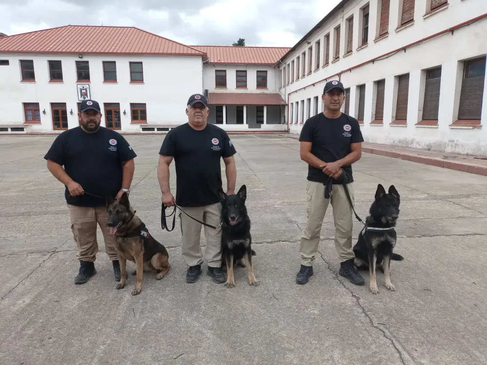 WhatsApp Image 2024-12-10 at 11.58.33 AM