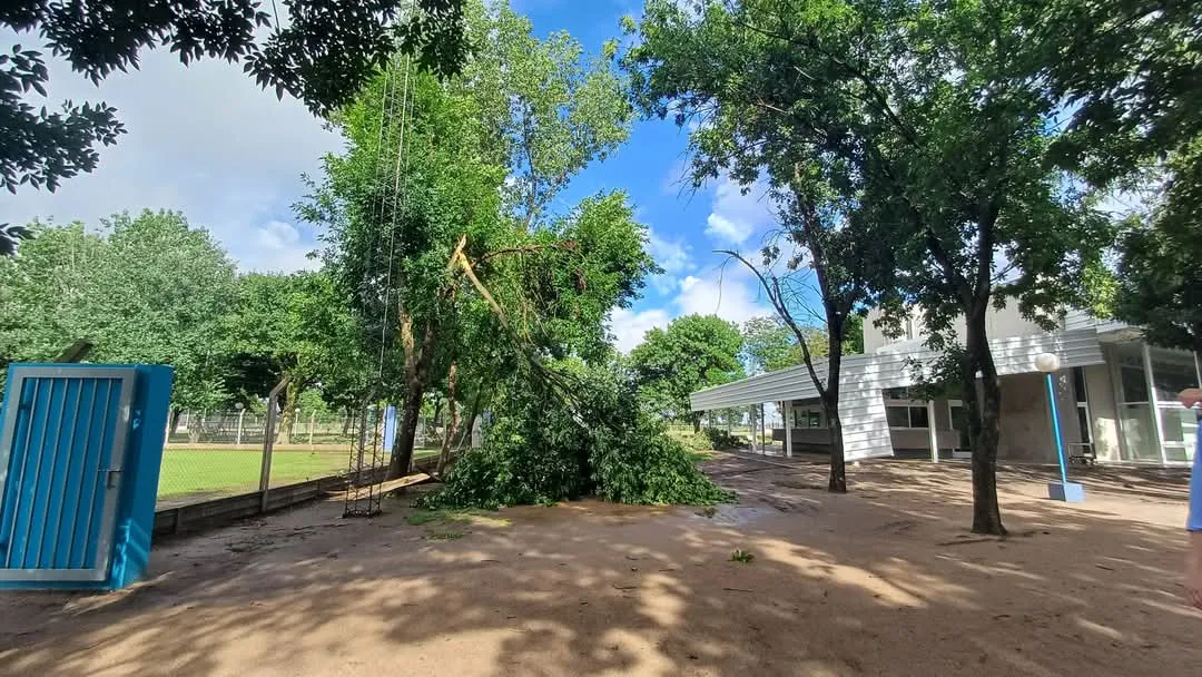 FB_IMG_1733489502326