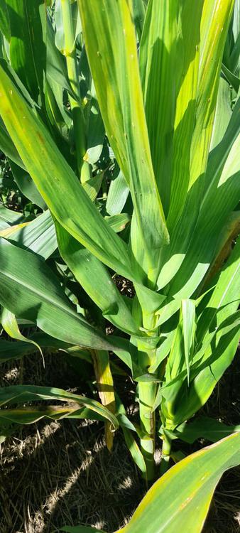 WhatsApp Image 2024-02-20 at 12.13.28 PM