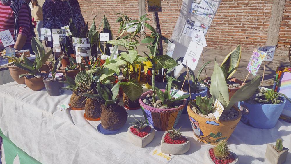 IMG_20240519_150420544