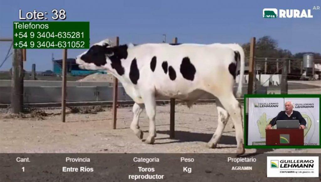 Segundo-remate-on-line-de-la-Lehmann1-1024x580