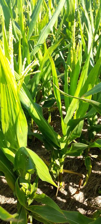 WhatsApp Image 2024-02-20 at 12.13.29 PM